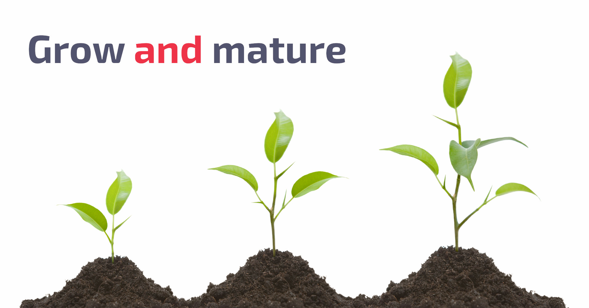 Architecture Maturity Model
